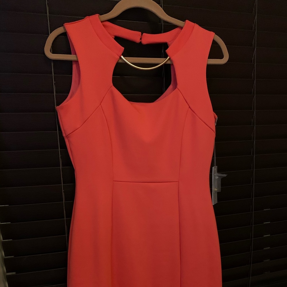 Jennifer Lopez dress size 6